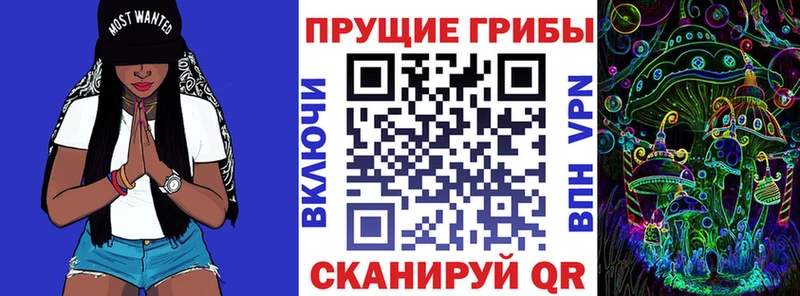 где можно купить наркотик  Сретенск  Галлюциногенные грибы мухоморы 